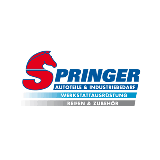 Hellmut Springer GmbH Co.KG